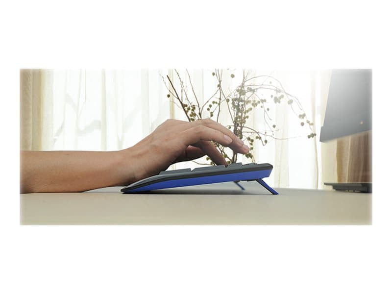 Logitech Wireless Combo MK345 – Juego de teclado y ratón – inalámbrico – 2.4 GHz – QWERTY – español – negro, azul